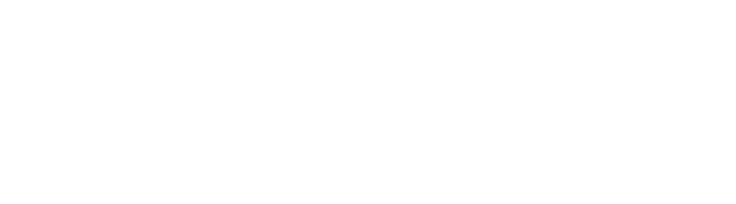 Premium Positioning logo